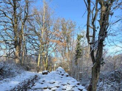 Caborne Saint Jacques