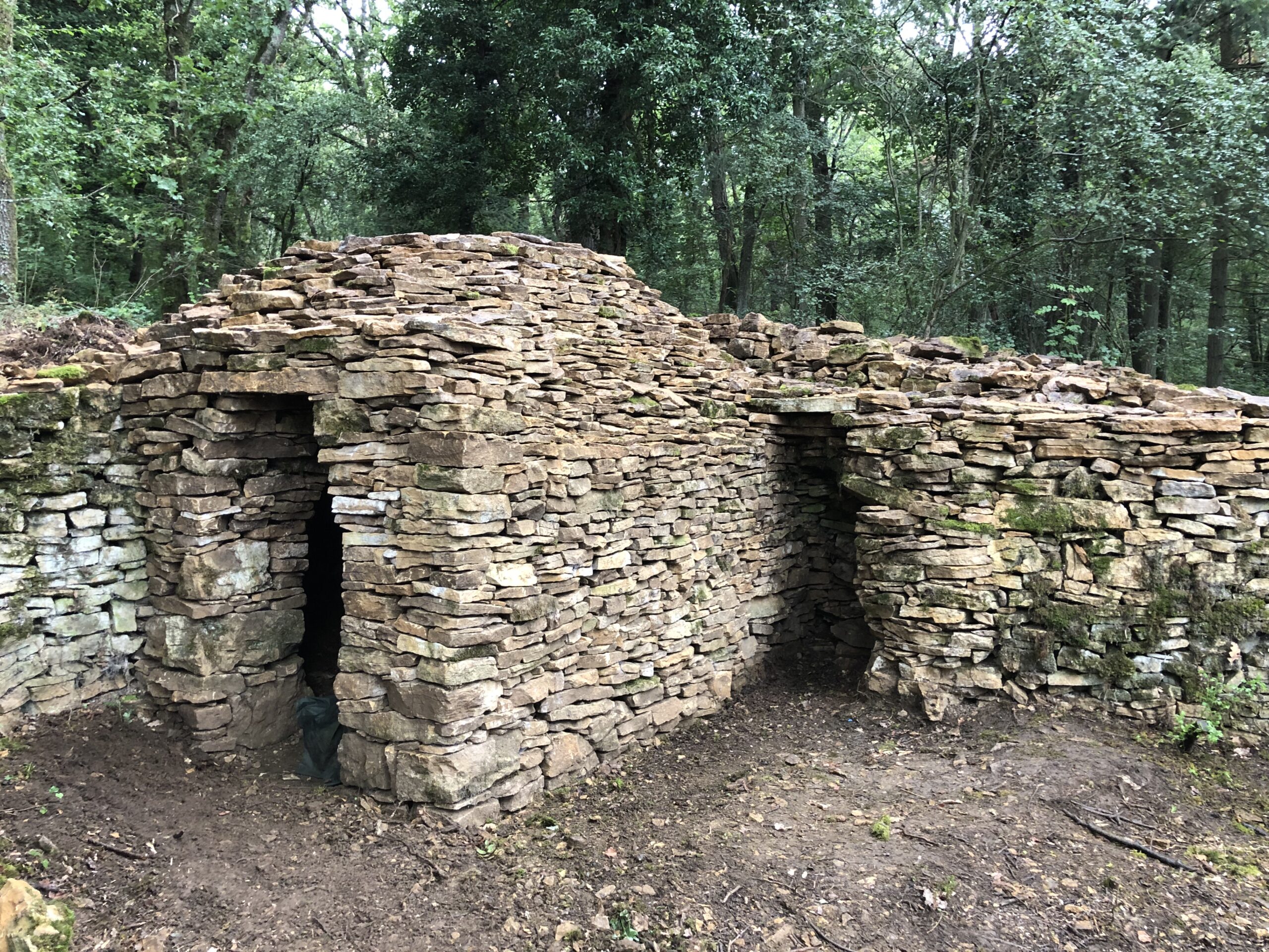 Caborne du chien noir