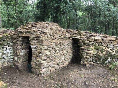Caborne du chien noir