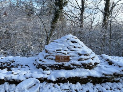 Caborne des bélemnites