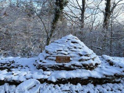 Caborne des bélemnites