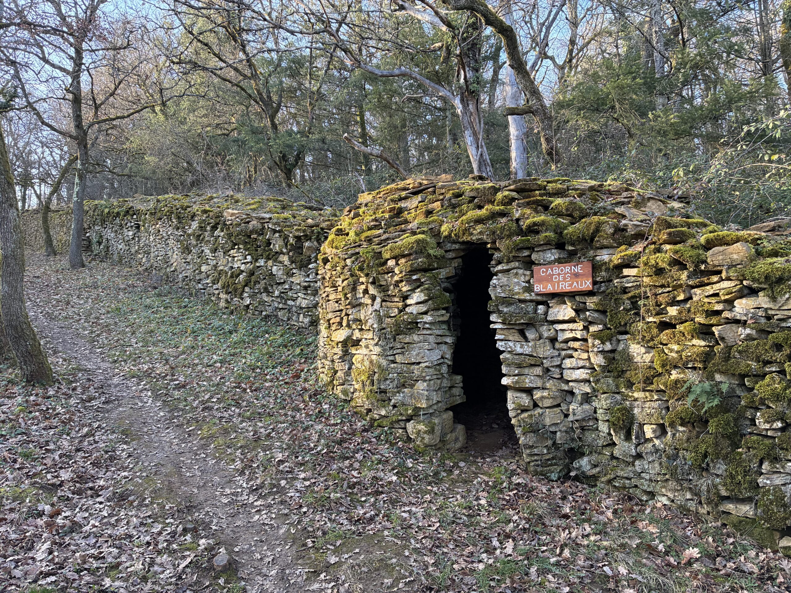 Caborne des blaireaux