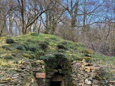 Caborne des fougères